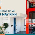 Tổng quan về thang máy kính